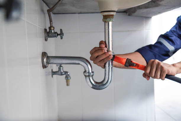 Best Commercial Plumbing Services  in Murillo, TX
